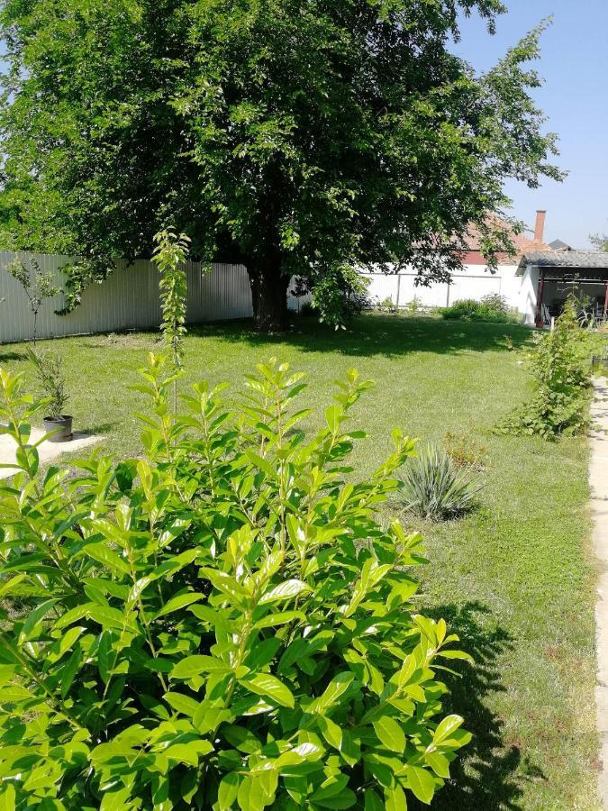 Hotel Zsuzsanna Vendeghaz Gyomaendrőd Exterior foto